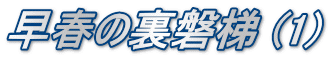 早春の裏磐梯 (1)