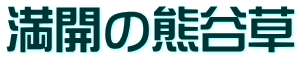 満開の熊谷草