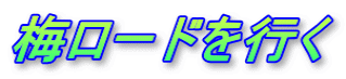 梅ロードを行く