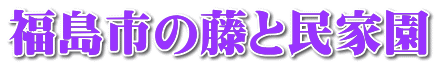 福島市の藤と民家園 