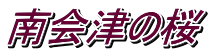 南会津の桜