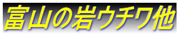 富山の岩ウチワ他