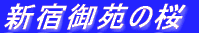 Vh䉑̍