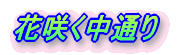 ԍ炭ʂ