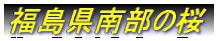 암̍