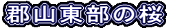 SR̍