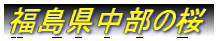 ̍
