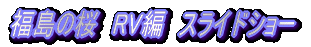 ̍@RVҁ@XChV[