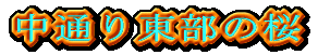 ʂ蓌̍