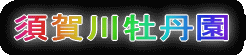 {쉲O