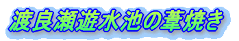 nǐVr̈Ă