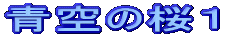 ̍P