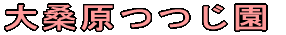 K 