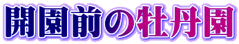 JỎO