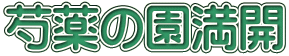 䉖̉J