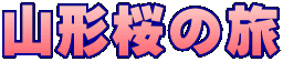 R`̗ 