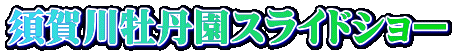 {쉲OXChV[