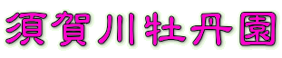 {쉲O 