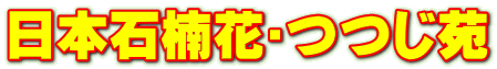 {Γԥ