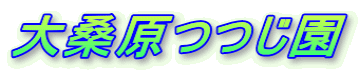 K