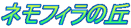 ltB̋u