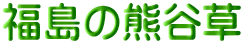 福島の熊谷草