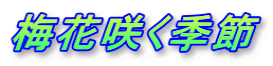 梅花咲く季節