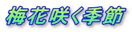 梅花咲く季節