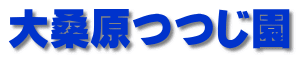 大桑原つつじ園