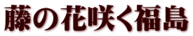 藤の花咲く福島