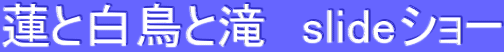 蓮と白鳥と滝　slideショー