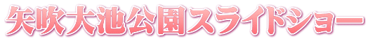 矢吹大池公園スライドショー