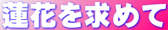 蓮花を求めて