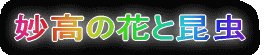 ̉Ԃƍ