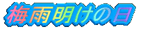 ~J̓