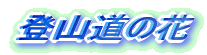 oR̉