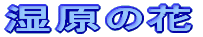 ̉