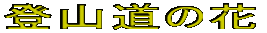 oR̉