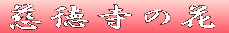 ̉