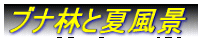 uiтƉĕi