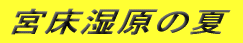 {̉