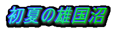 Ă̗Y