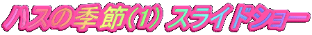 nX̋G(1) XChV[