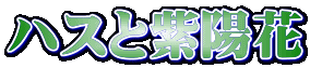 nXƎz 