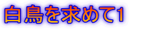 白鳥を求めて1　