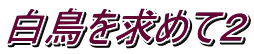 白鳥を求めて２
