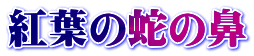 紅葉の蛇の鼻