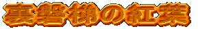 ֒̍gt