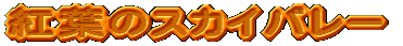 gt̃XJCo[