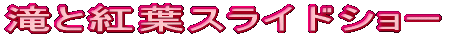 ƍgtXChV[